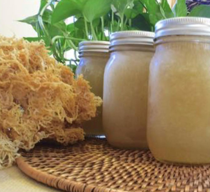 Sea Moss: An All-natural Solution for the High temperature